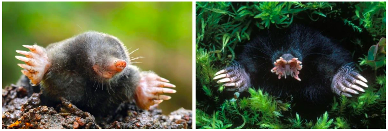 Snímka obrazovky 2025-07-10 o 11.24.06